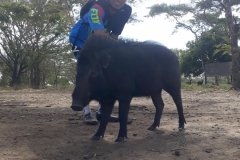WEST-BALI-CYCLING-TOUR-2